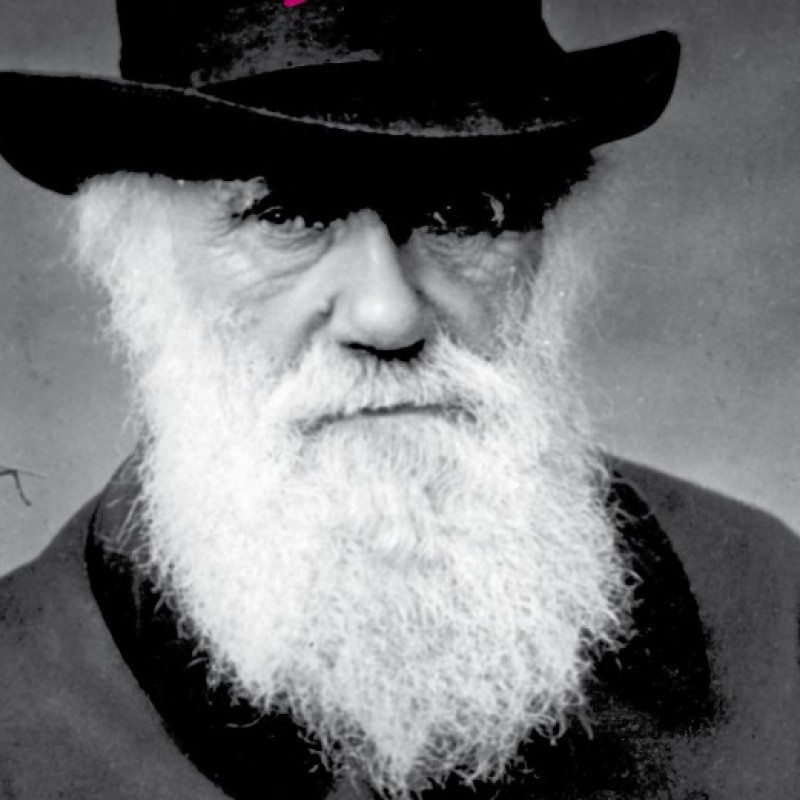 Darwins Evolutionslehre aus heutiger wissenschaftlicher Sicht labor&more