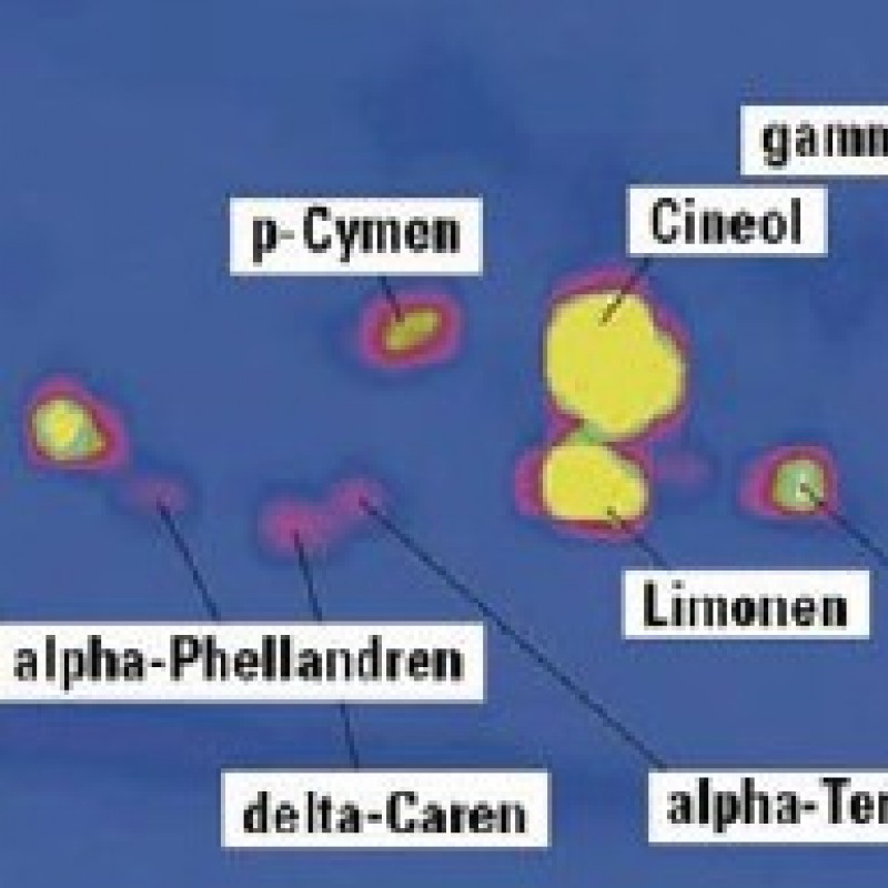 GC- und GC-MS - Comprehensive GC (GCxGC) - labor&more